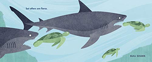 Chomp: A Shark Romp - Image 3