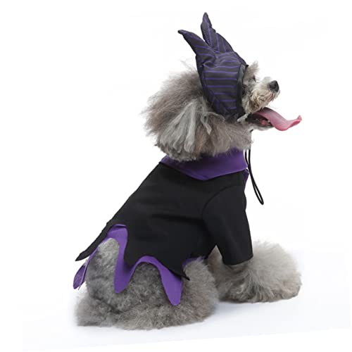 Disfraz de Bruja para Perro Beavorty Talla S miniatura 2