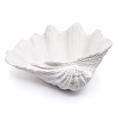 ALIWINER Seashell Decorative Bowl Clam Shell Decor Bowl Nautical Home Decor Coastal Bathroom Decor Beach Party Wedding Shell Decor