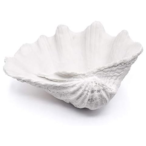ALIWINER Clam Shell Decorative Bowl Cover