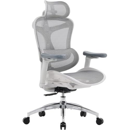 SIHOO Doro C300 Ergonomischer Bürostuhl mit ultraweichen 3D-Armlehnen, dynamischer Lordosenstütze für den Homeoffice-Stuhl, Verstellbarer Rückenlehne Weiß Basis