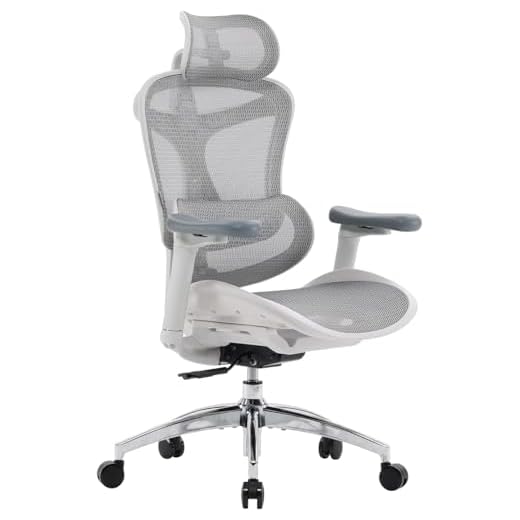 SIHOO Doro C300 Ergonomischer Bürostuhl