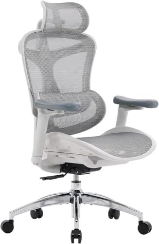 SIHOO Doro C300 Ergonomischer Bürostuhl mit ultraweichen 3D-Armlehnen, dynamischer Lordosenstütze für den Homeoffice-Stuhl, Verstellbarer Rückenlehne