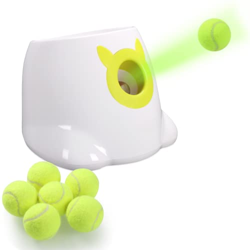 Top 10 Best Automatic Dog Ball Launcher Reviews & Buying Guide Katynel