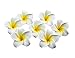 Produktbild Haarklammern für Damen, hawaiianische Plumeria, Blumen-Design, Hochzeit, Brautschmuck, Haarspange, Haarschmuck für Party, Strand, Urlaub, 12 Stück