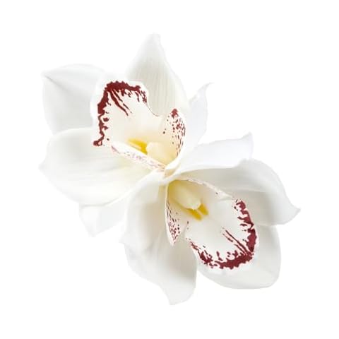 Vividsun Hawaiian Flower Hair Clips Artificial Orchid Flower Hair Clip For Vacation Beach Party Hawaiian Wedding Hair Piece (Ivory) Cover