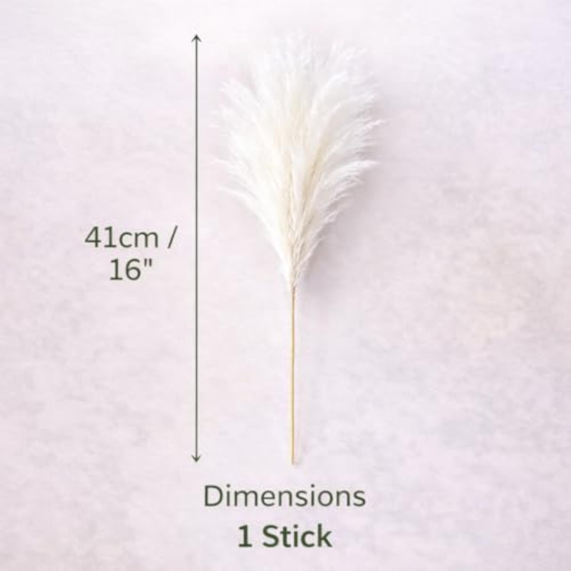 Decor's Artificial Pampas Grass Small Fluffy Flowers