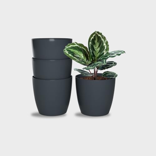 YUCCABE ITALIA SHERA Stella 6 Inch Plastic Plant Pot for Home Decor Indoor Plant Pots for Living Room Plastic Flower Pot for Garden (Grey, 6 INCH - 4 Pcs)