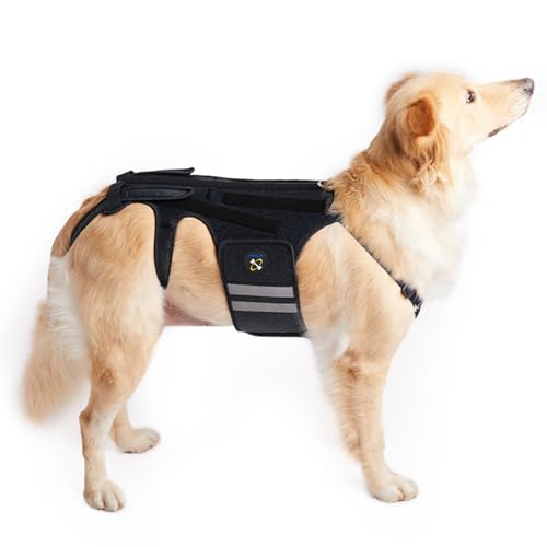 Coodeo Dog Back Brace for Dogs Arthritis Pet Back Bracer for IVDD Back Protector Helps Pain Relief Surgical Recovery and Rehabilitation Dogs Back Disease Prevention. (Black Small)