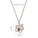 Imagen de Collar conmemorativo para mascotas