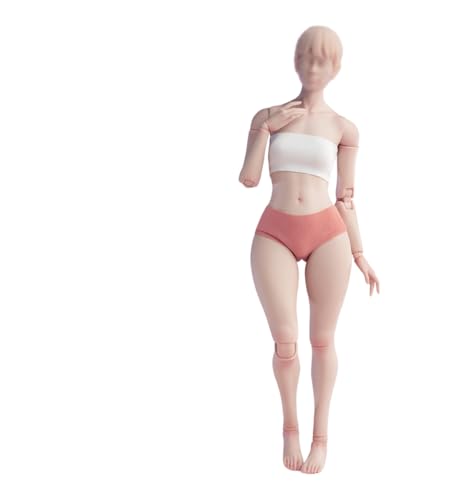 1/6 Scale Female Body,12inch Worldbox Female Joint Flexible Pale Suntan Skin Action Figure Body Collection (Pale Skin, Fat Version)
