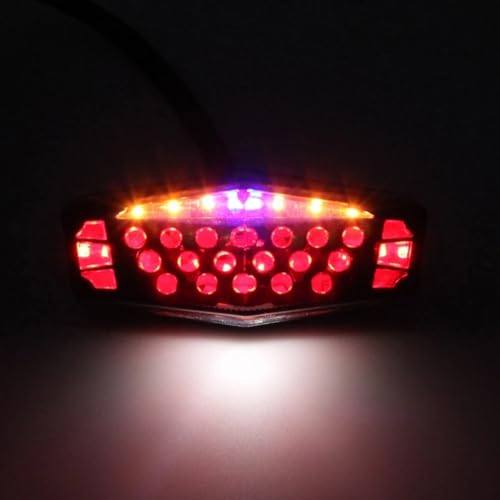 Freno parada universales y luces intermitentes para motocicleta trasera 4