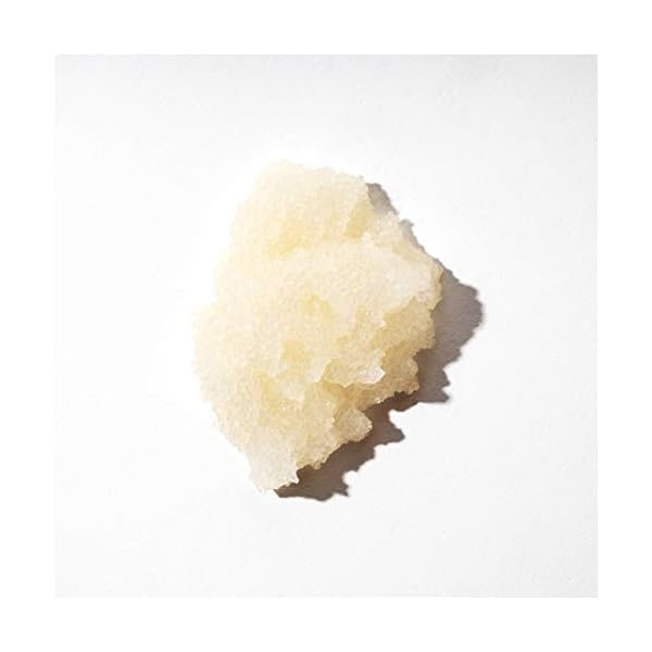 OUAI-Scalp-Body-Scrub-Deep-Cleansing-Scrub-for-Hair-and-Skin-that-Removes-Buildup-Exfoliates-and-Moisturizes-Made-with-Sugar-and-Coconut-Oil-Free-from-Parabens-Sulfates-and-Phthalates-88 OUAI Scalp & Body Scrub, Melrose Place - Exfoliating Body Scrub with Sugar & Coconut Oil Blend for Smooth, Moisturized Skin - Gentle Scalp Scrub for Removing Product Build Up (8.8 Oz)