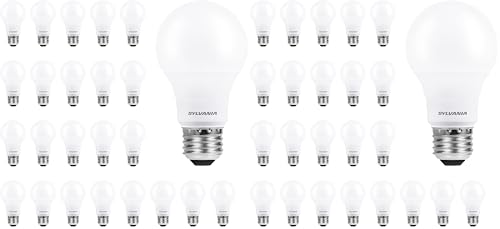 Image of Sylvania ECO LED A19 Light Bulb, 60W Equivalent, Efficient 9W, 7 Year, 750 Lumens, Non-Dimmable, Frosted, 5000K Daylight - 24 Count (40987) (Pack of 2)