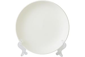 Colorations Decorate Your Own Ceramic Plates: Unleash Your Creativity with 12 Blank Canvases