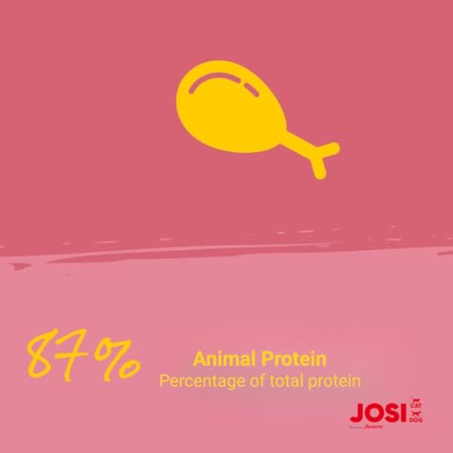 Image of JosiCat Kitten Junior Premium Dry Food for Growing and Carrying (1.9kg x 3) & Lactating Cats with High Energy Content & Valuable Salmon Oil & Vitamins Powered by Josera