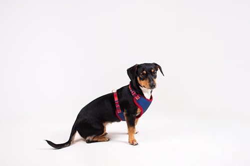 Freefaro - Peitoral Air Recreio - Tam.M