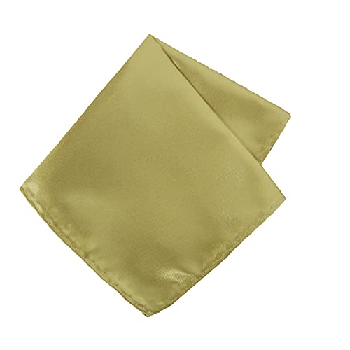 Image of TIE STUDIO Men's Solid Pocket Square | Size- 10cm x 10cm | Colour-Royal Blue | Pack of 1 |