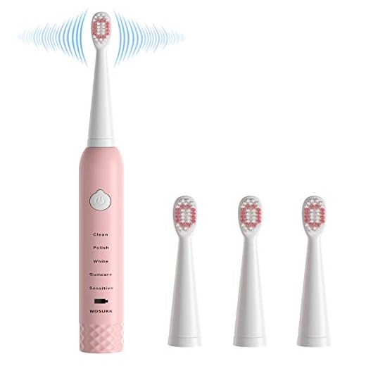 Sonic Electric Toothbrushes for Kids-5 Modes with Smart Timer, Waterproof USB Charging Rechargeable Ultrasonic Toothbrushes, 4 Replacement Brush Heads, Adults Power Toothbrush, Dentists Recommend