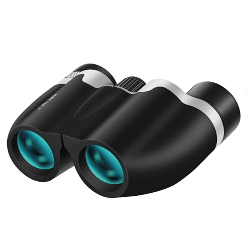 Amazon | 双眼鏡 10倍 10x 22 SLEIJAOOE オペラグラス ライブ用
