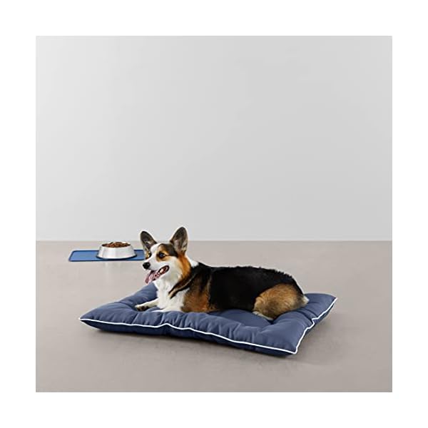 Outdoor Pet Pillow Bed
