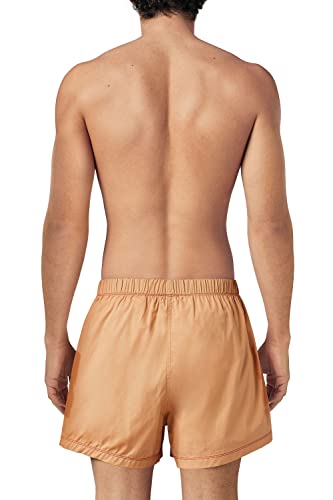 Diesel_UUBX-STARK Boxers_Underpants_Braun_L – Ansicht 2