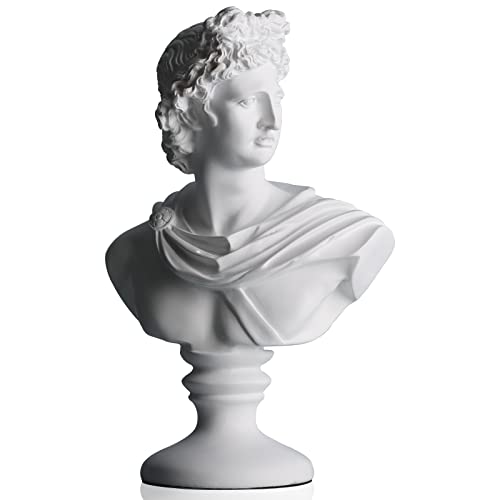 DOVDOV David Statue Bust, Greek David Statue Bust Statue and Sculpture, Modern Home Decor, Perfect for Living Room, Office, Bookcase, Home Entrance, Teaching Room Filling