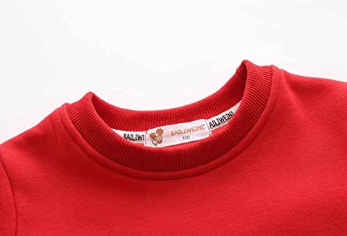 Xmas Kids Childr Toddler Boys Girls Cute Cartoon Embroidery Long Sleeve Letter Thick Pullover Sweatshirt Toddler3