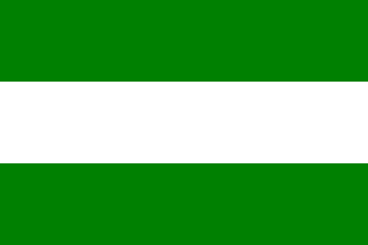 Drapeau Rotterdam 90x150cm grand format horizontal de 1.35m²