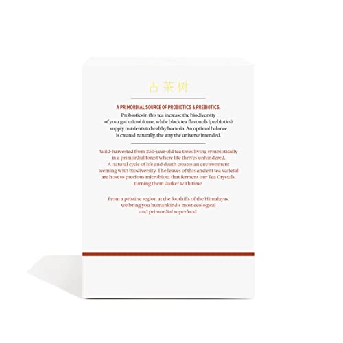 Pique Organic Fermented Black (Ripe) Pu'er Tea - Support Healthy Metabolism, Digestion - 28 Single Servings (1 Pack)