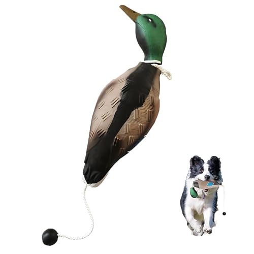 Carreuty Dog Training Duck Dummy Dog Training Tools for Hunting Retriever Mimics Duck Bumper Toy for Puppies Or Adult Dogs Bird Dummy Dog Training Toy Large Dog Toy