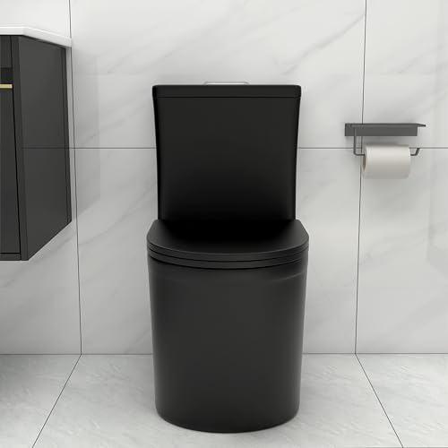 Wonchael Matte Black Compact One Piece Toilet 22.8