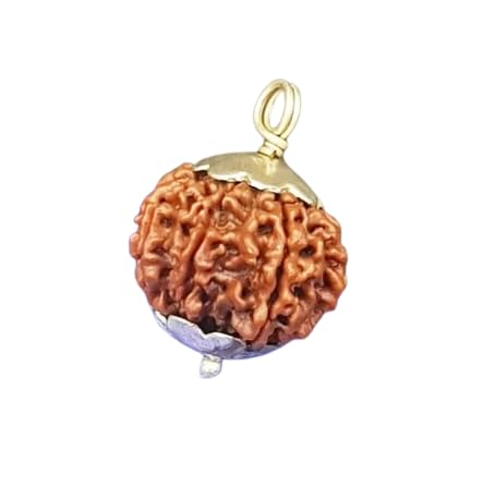 Nepal 8 Mukhi Rudraksha 19mm 8 Face Rudrakshaa Original Certified Ashta|Aath Mukhi Rudrakshas आठ मुखी रुद्राक्ष ओरिजिनल नेपाल Blessed Ganesh for Men Women-image-5
