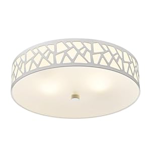 2-Light Flush Mount Ceiling Light, 12 inch Modern Ceiling Light Fixture with White Metal and Frosted Glass Shade for Hallway, Kitchen, Bedroom