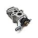DZSHONGXINSM Carburadores Carburador para Kawasaki para TR53 TE53 TJ53 TJ53E TZ53 KBL53 TK65 Recortadora Desbrozadora Sopladora para WYA-176 para TR TE TJ TZ KBL TK Carburadores para Moto Imagen de DZSHONGXINSM Carburadores Carburador para Kawasaki para TR53 TE53 TJ53 TJ53E TZ53 KBL53 TK65 Recortadora Desbrozadora Sopladora para WYA-176 para TR TE TJ TZ KBL TK Carburadores para Moto