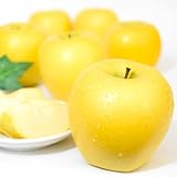 【平均糖度13度前後】本場 長野県産 りんご シナノゴールド 2.8kg 長野県 リンゴ 西村青果