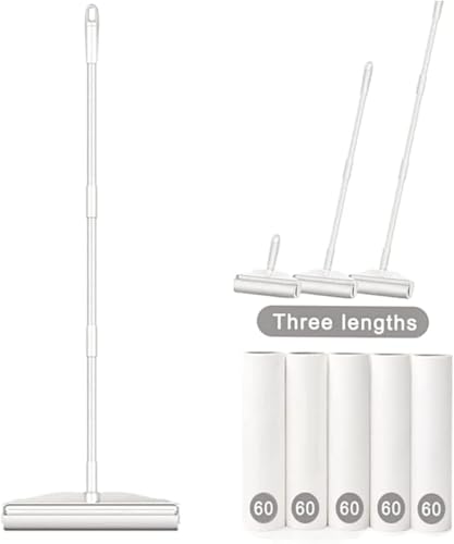 Biizhe S[[ 24cm SN[i[ [[ S Wt 3ނ̒߉\ t[O J[ybgΉ v36019cm (24CM,9[[540])