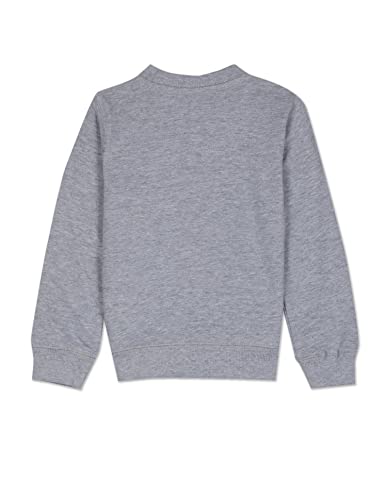 Image of U.S. Polo Assn. Boys Sweatshirt
