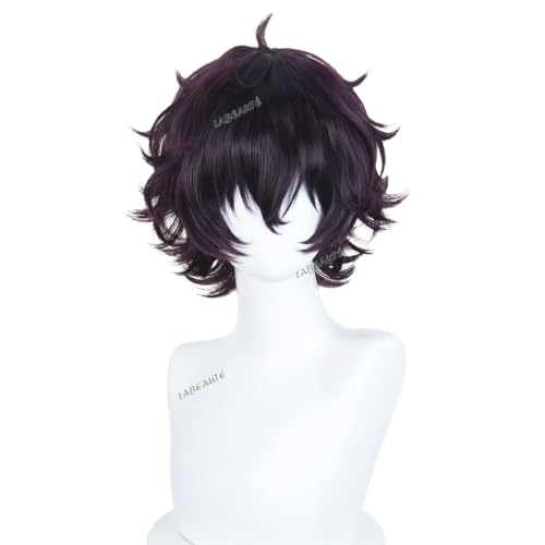 Image of LABEAUTE Agott Black Cosplay Wig 30CM / 11.8Inch Short Anime Wig | Heat Resistant Synthetic Hair for Costume Theme Party and Halloween