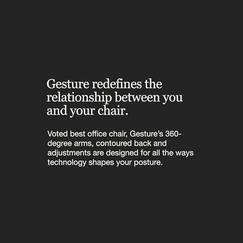 Herman Miller Embody chair