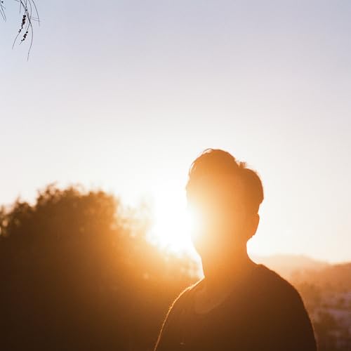 In the Last Hour of Light - Vinyle Or