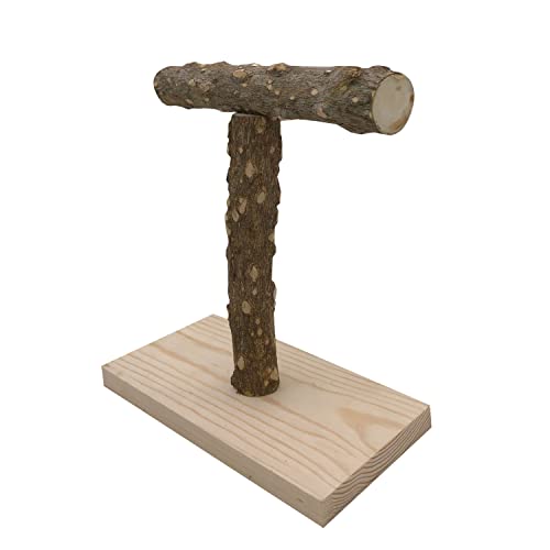 Image of YTLS Tee Bird Tabletop Training Stand，Portable Parrot Play Stands, Natural Wood Bird Cage Toys Gym Playground Cockatiel Playground Wood Perch Gym Playpen for Small Medium Parakeets Conures Lovebirds