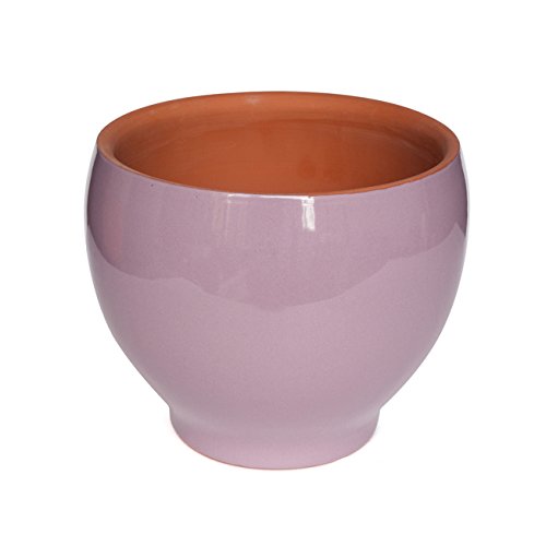 Hosley Grower Obo Pot 6.5 Inches High Lavender Ideal Gift for Wedding Party Home Decor Office Spa Settings O9