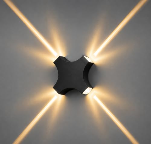 Image of FERA Light 444 Warm (RAYZR)
