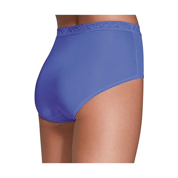 Fruit of the Loom Women's Underwear Nylon Brief Panties, Assorted, 2X-Large (9)