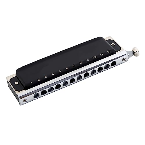 PacuM Harmonica par Instrument Clé Harmonica Harpe Chromatique 12 Trous 48 Tons Orgue à Bouche Instruments de Musique Professionnels Clé C Couvercle en Acier Inoxydable Harmonica - Les Beatles, Paul McCartney, John Lennon, RIngo Starr, George Harrison PacuM Harmonica par Instrument Clé Harmonica Harpe Chromatique 12 Trous 48 Tons Orgue à Bouche Instruments de Musique Professionnels Clé C Couvercle en Acier Inoxydable Harmonica