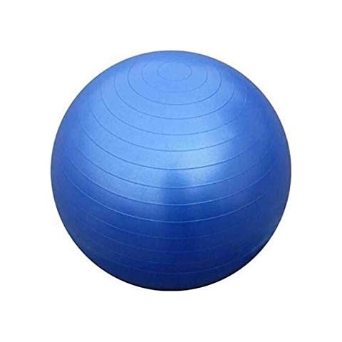 B4E Gym Ball Exercise Ball Hand Pump Included Cover
