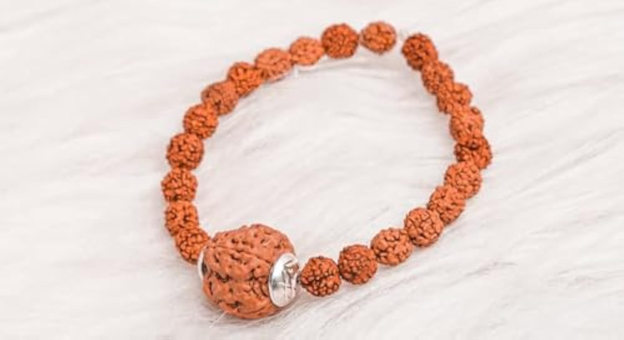 5 Mukhi Rudraksha Bracelet with 7 Mukhi Nepali Bead