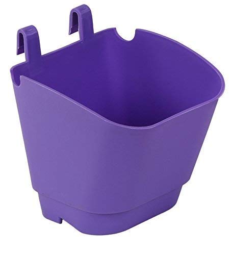 CAPPL Vertical Garden Wall Hanging Pots for Home, Balcony, Entry Area, Hotels & Office (Violet, 100) (B08G193WTR) Amazon Price History, Amazon Price Tracker