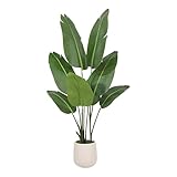 Bird of Paradise Artificial Plant, 4ft Tall Faux Plant Indoor with 8 Trunks, Perfect Indoor Artificial Tree for Home Decor in Living Room, Office, and Bedroom